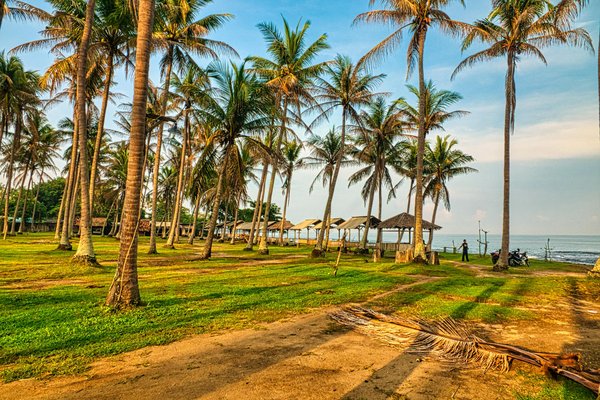 Quels sont les meilleurs spots pour observer les oiseaux marins en Écosse?